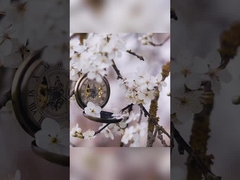 リリー・ローズ・オスマンサス 歯 歯磨き歯磨き粉 白紙400gのパッケージ