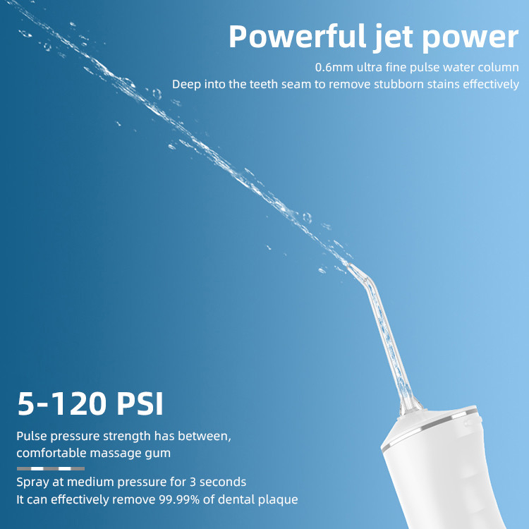 IPX7家および旅行歯垢の除去剤の歯の手入れのIrrigatorの専門水Flosser